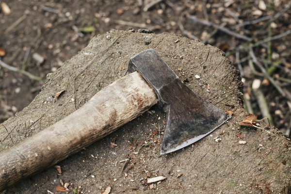 Axe on a tree stump