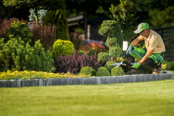 Landscape Garden Maintenance Professional at Work